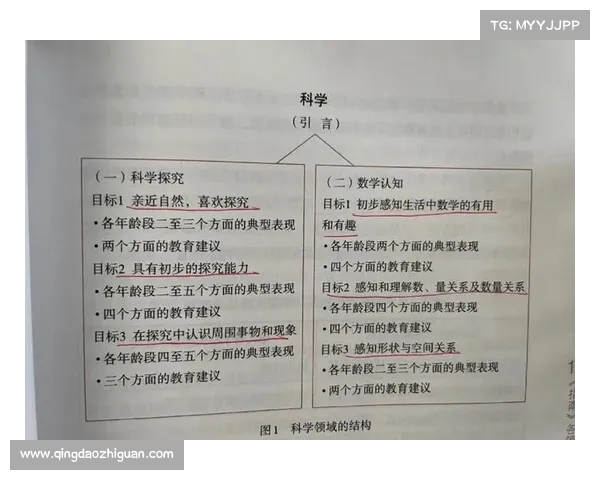 全面探索瓦尔迪角色定位与核心能力的系统化学习途径全流程指南